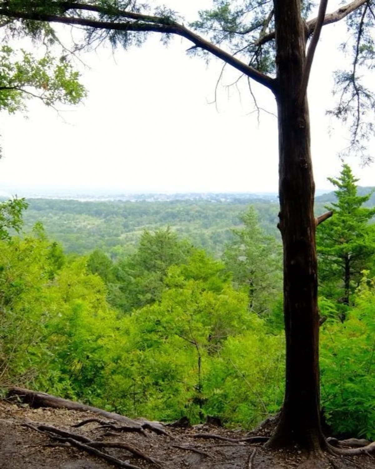 Let’s HIKE Outdoors 🥾 hosted by The Circle - Sober Wellness Focused 🏳️‍🌈 — outdoor activities in Dallas