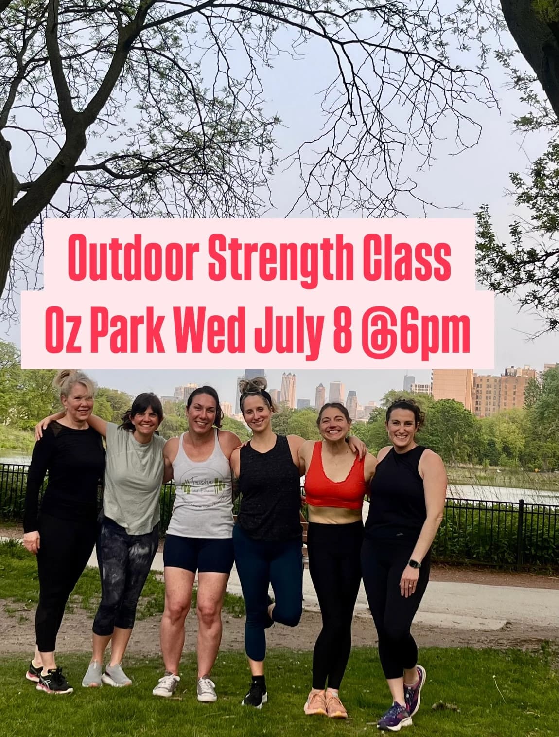 Outdoor Strength Class hosted by Trisha Total Fitness — outdoor activities in Chicago