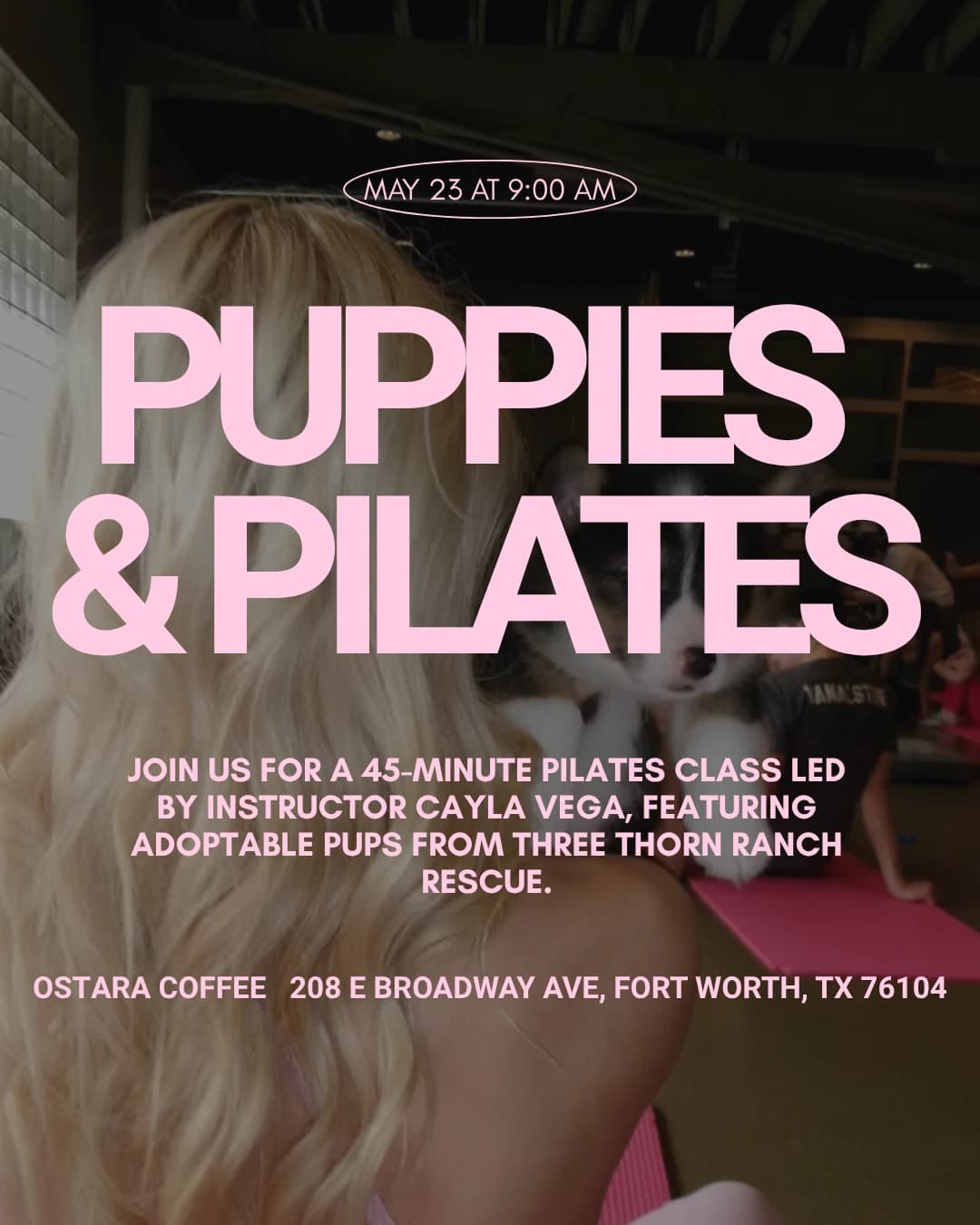 Puppies & Pilates hosted by Wellness Woofs — fitness events in Fort Worth