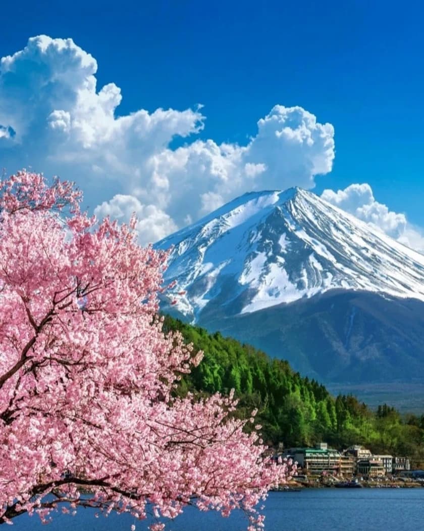 Japan Yoga Retreat  hosted by Emery Bryant Yoga — wellness events in Minato City