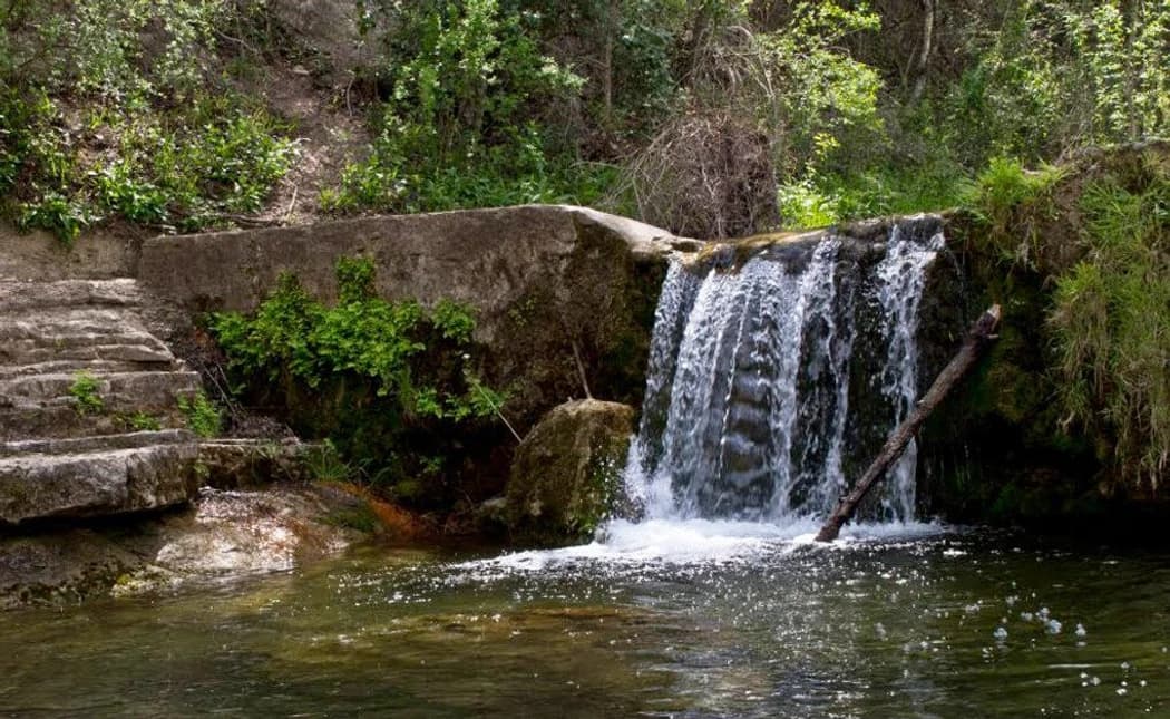 Guided Hike - St. Edwards Greenbelt hosted by Recovery Outside  — outdoor activities in Austin