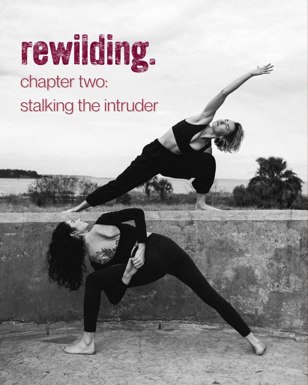 REWILDING. Chapter 2: Stalking the Intruder  hosted by Savannah Ice Tub Club — yoga classes in Savannah