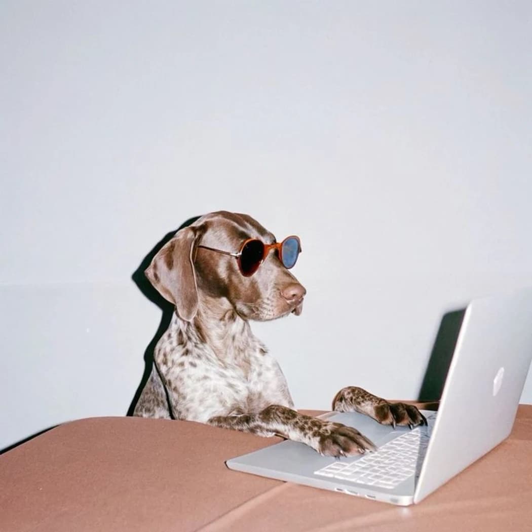 FriendsDay hosted by Chantelle Country Club — social events in Lake City