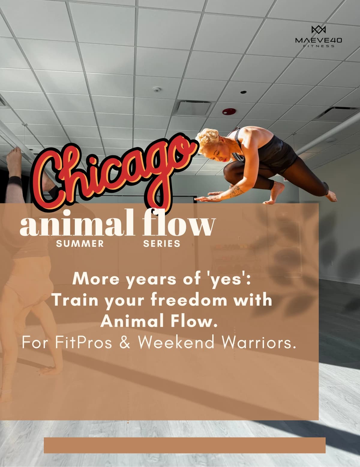 Animal Flow: Intro hosted by Animal Flow in Chicago — workshops in Chicago