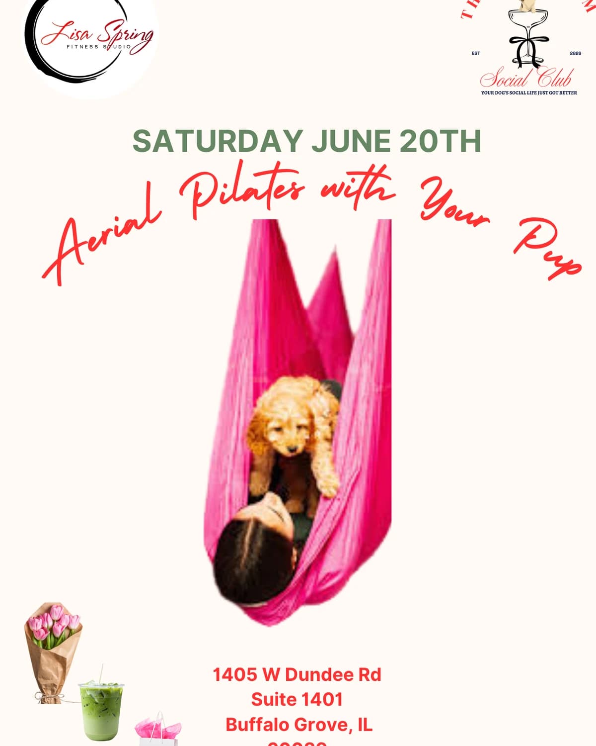 Small Puo Aerial Pilates  hosted by The Dog Mom Social Club | ILLINOIS — social events in Buffalo Grove