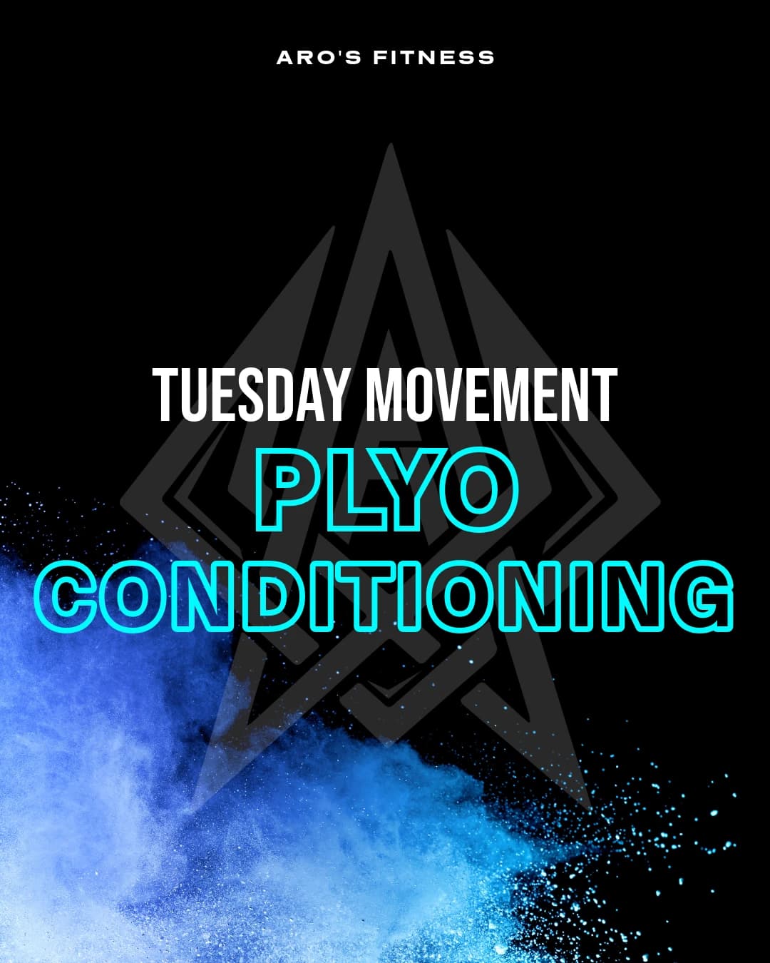 Tuesday Movement - Plyo Conditioning hosted by AROSFITNESS_MOBILE TRAINING — fitness events in Sarasota