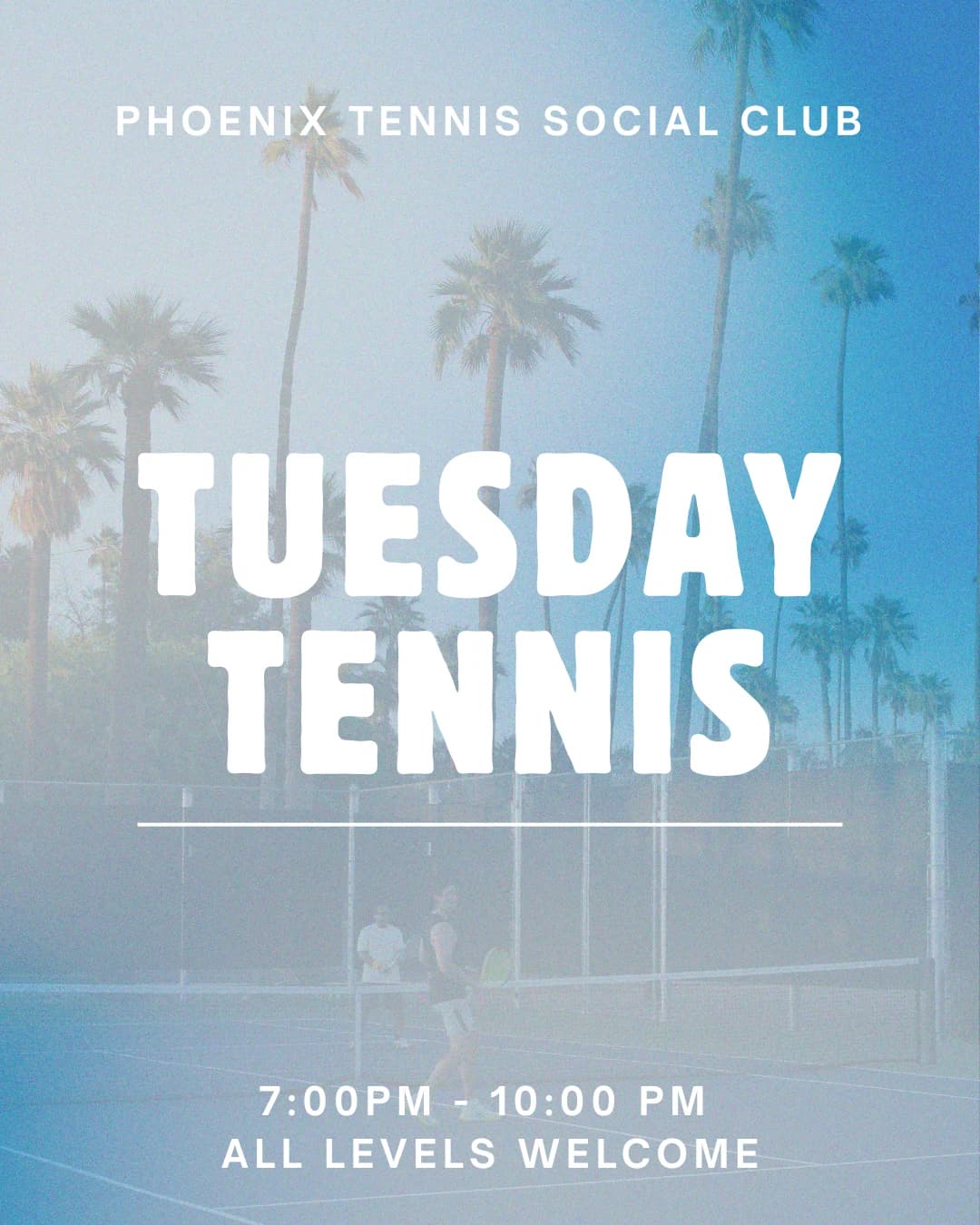 TUESDAY TENNIS NIGTH hosted by PHOENIXTENNISCLUB — racket sports in Phoenix