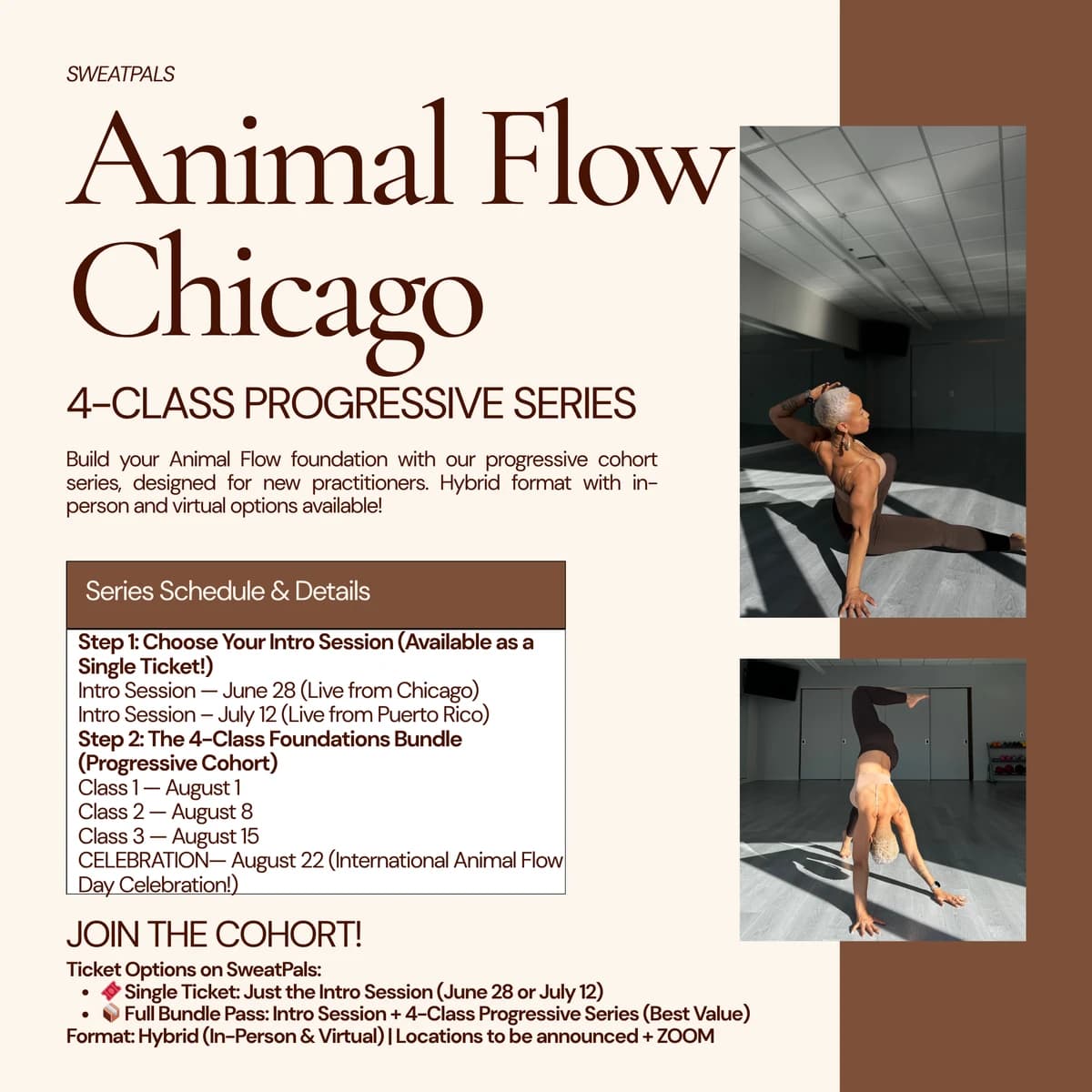 Animal Flow Beginner Series hosted by Animal Flow in Chicago — workshops in Chicago