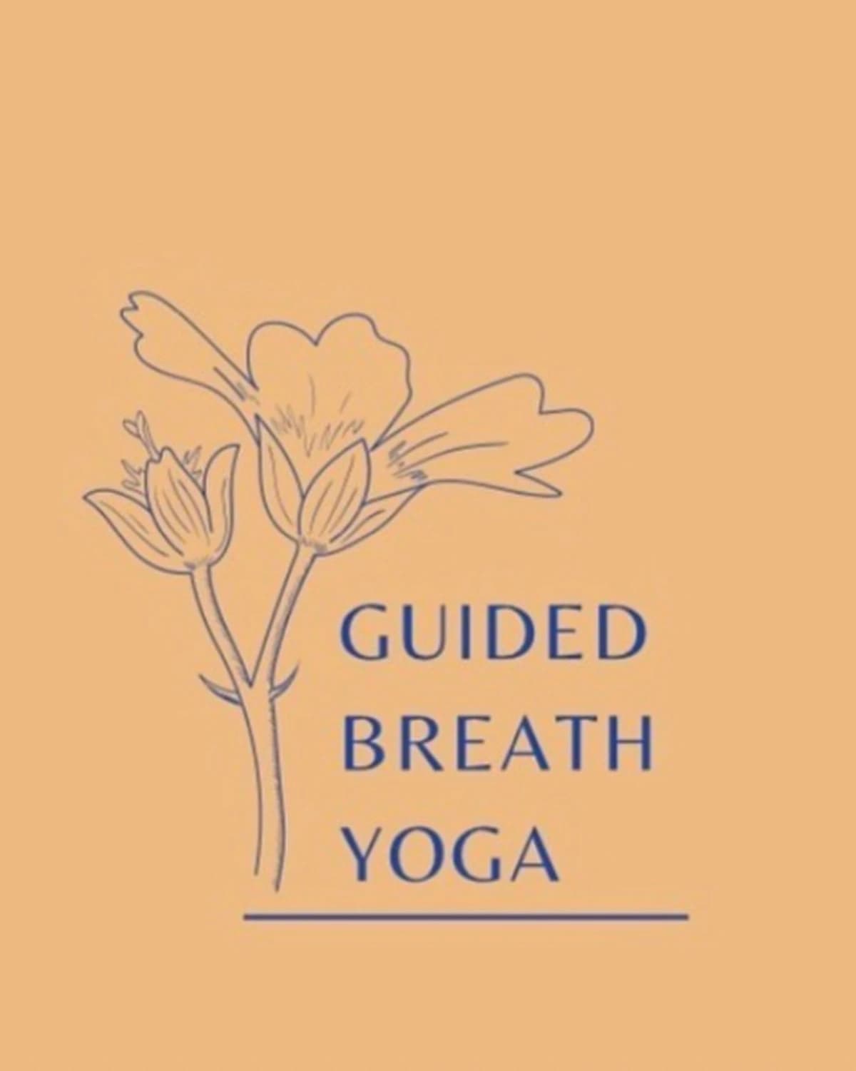 Yoga at Pfluger Park  hosted by Guided Breath Yoga — yoga classes in Pflugerville