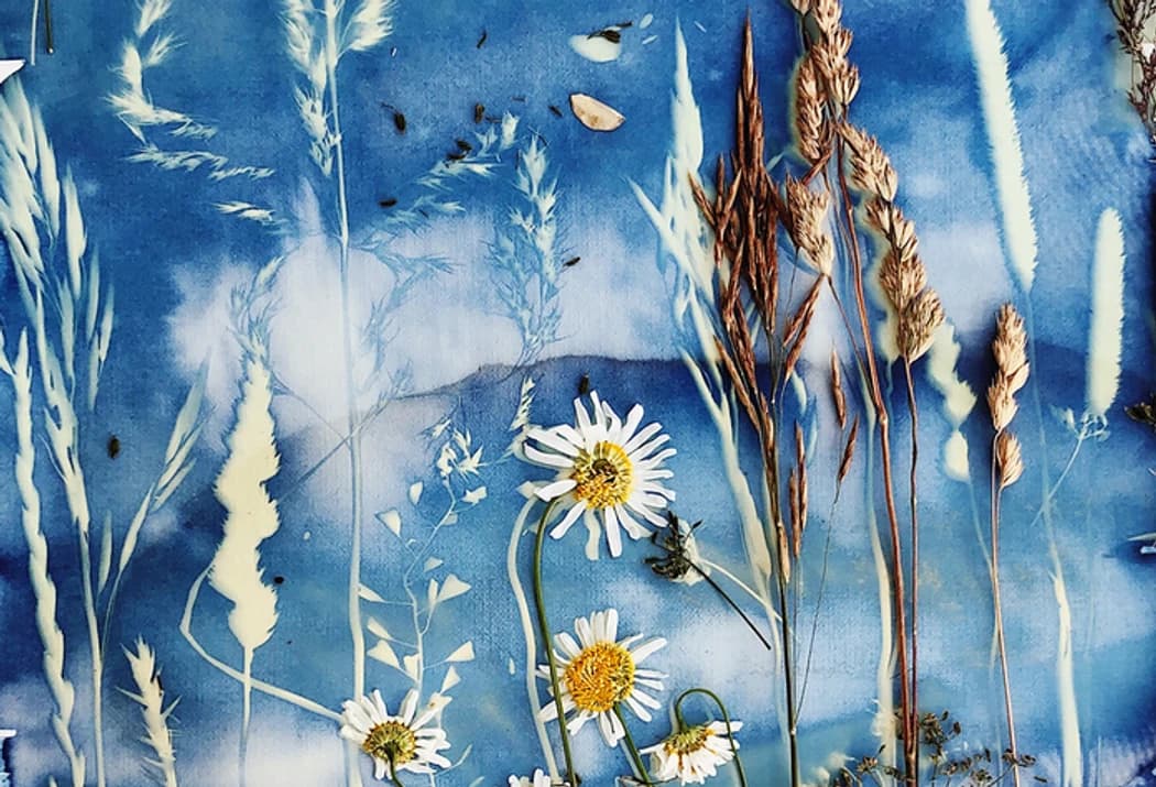 Summa' Sizzla': Cyanotype at U District hosted by Seattle Bouldering Project — workshops in Seattle