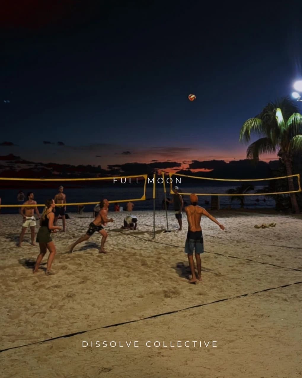 Full Moon Picnic hosted by Dissolve Collective — social events in Pompano Beach