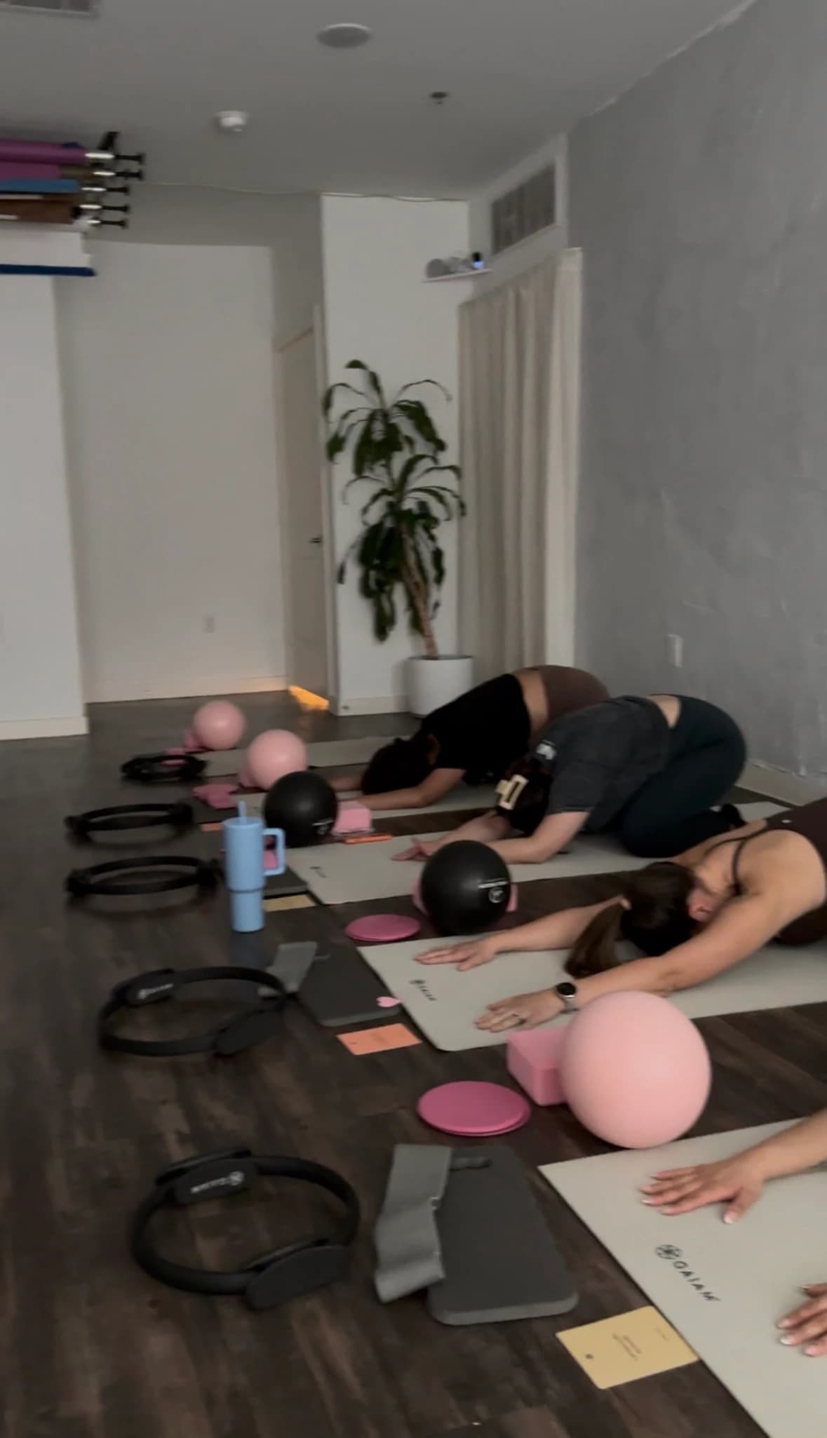 SpicEy Classical Mat Playlist - EDM HOUSE hosted by RosaPilates — pilates classes in Dallas