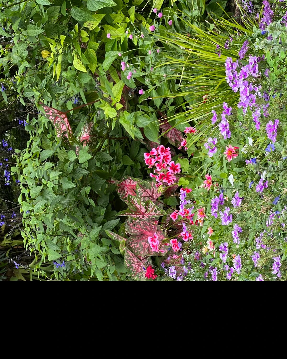 Unwritten: Grounded in the Garden hosted by Peace & Flow — outdoor activities in Orlando