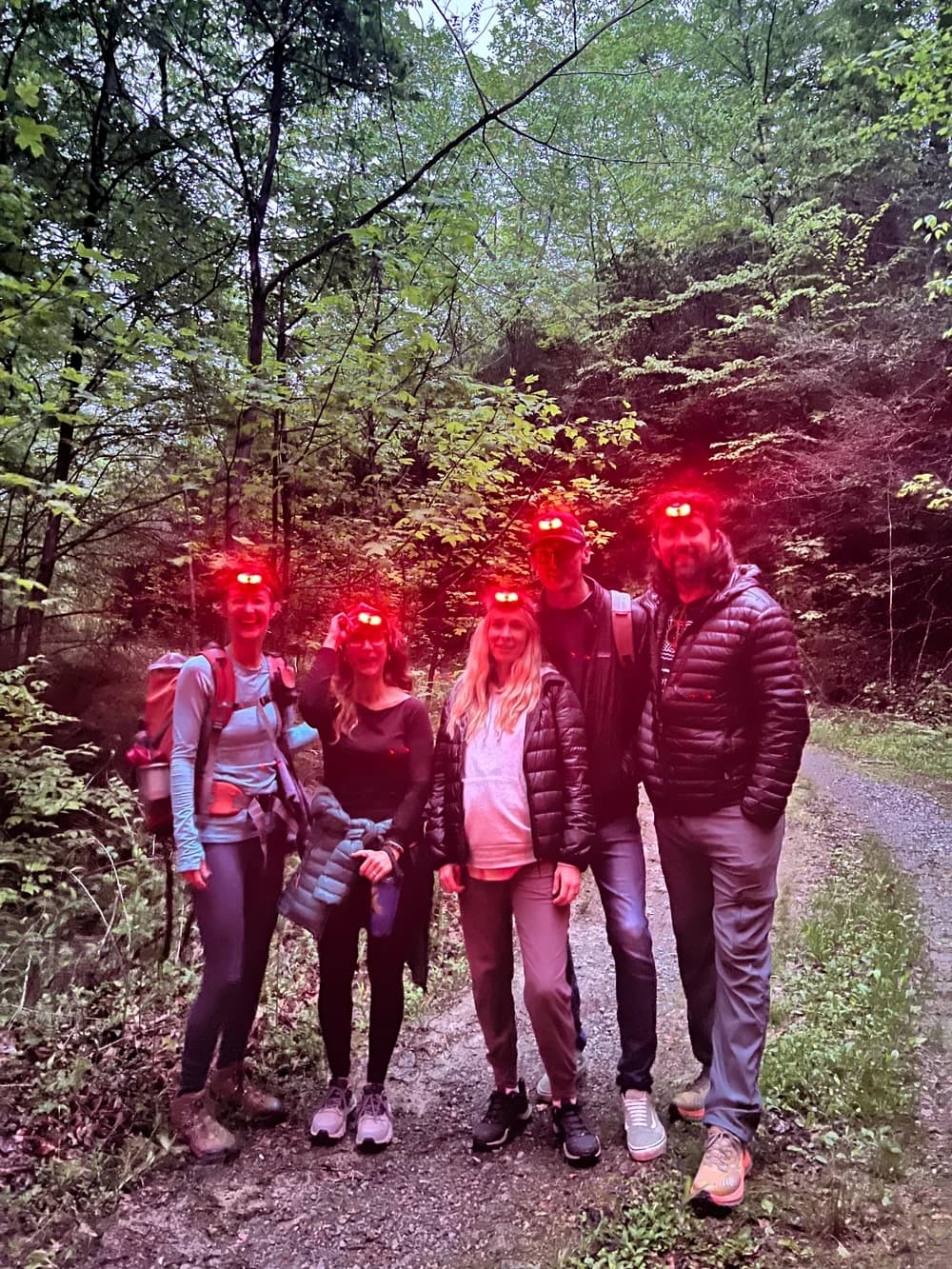 Blue Ghost Firefly Tour hosted by Asheville Wellness Tours's Community — outdoor activities in Asheville