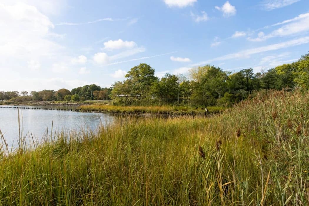 Marine Park Salt Marsh Nature Trail Hike hosted by Lauren & Genesis — outdoor activities in Brooklyn