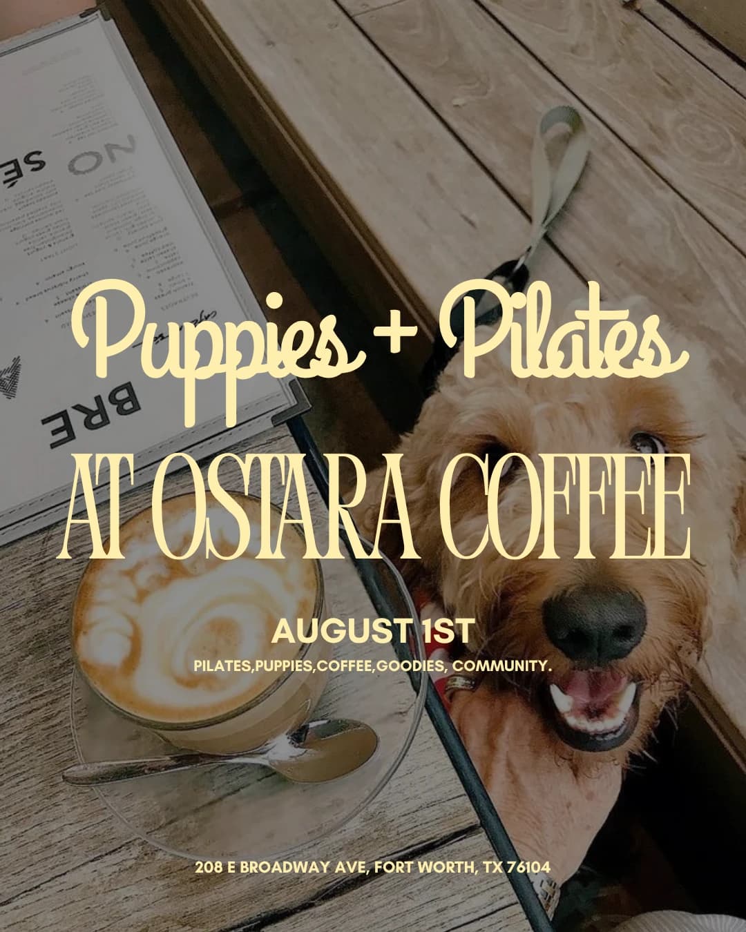 Puppies + Pilates hosted by Wellness Woofs — pilates classes in Fort Worth