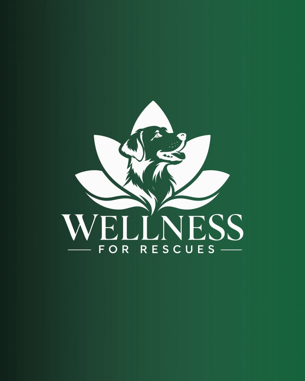 Wellness 4 Rescues Planning Meeting hosted by The Jonis Allen Foundation — wellness events in Riverside