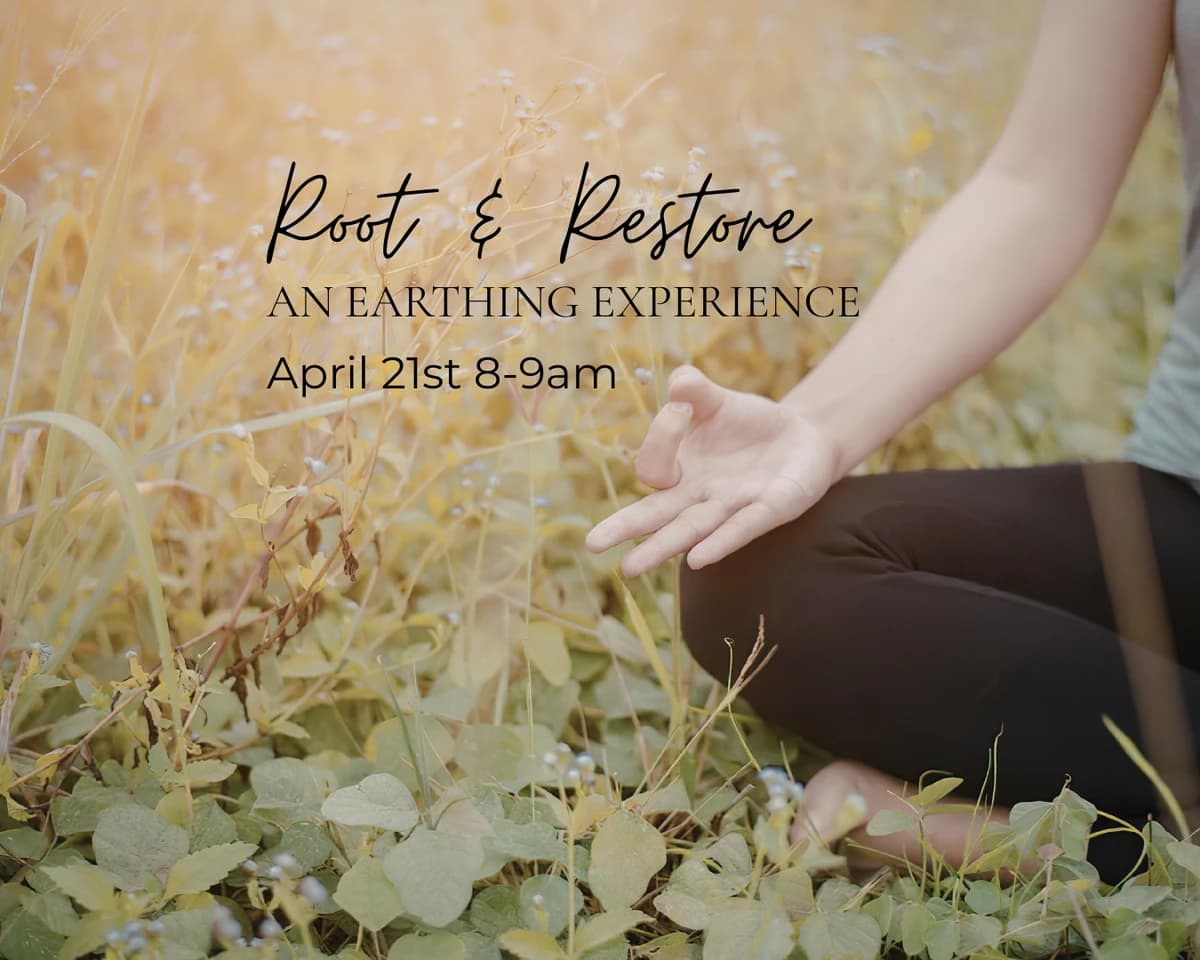 Root & Restore: An Earthing Experience hosted by Ansa Yoga — yoga classes in Chicago
