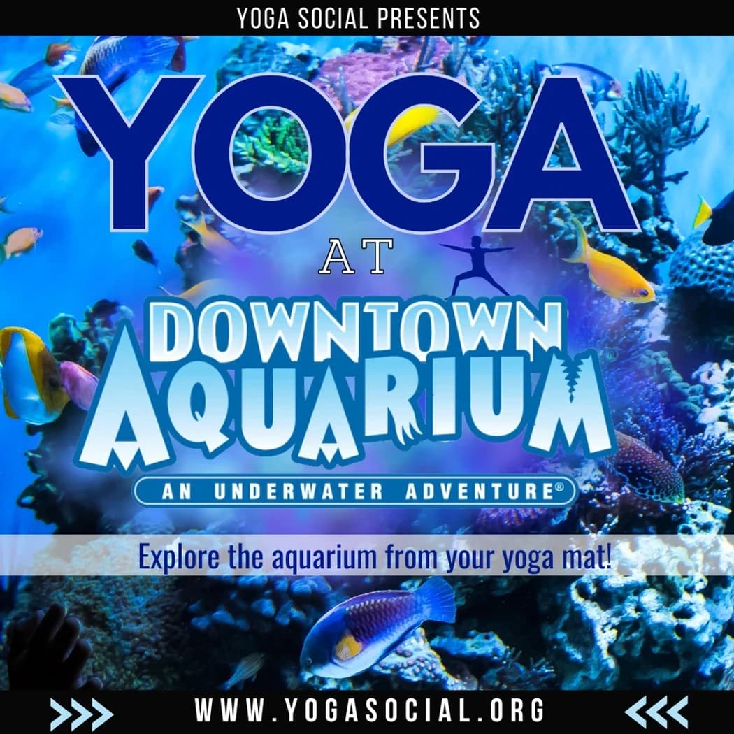 Yoga at the Downtown Aquarium in Denver with Yoga Social hosted by Denver Yoga Social — social events in Denver